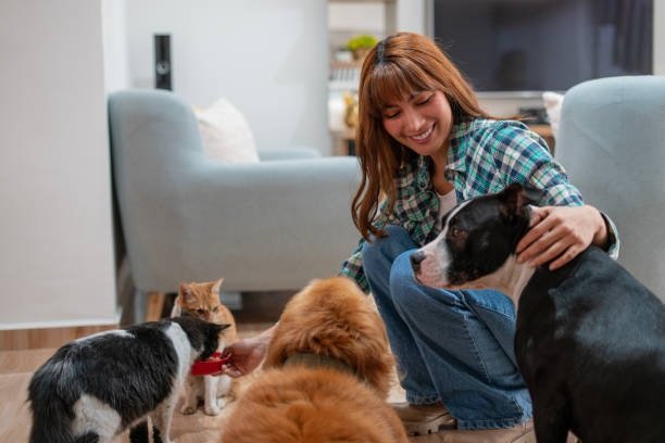 From Puppies to Seniors: How Pet Insurance Can Save You Thousands of Dollars